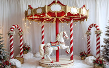 Load image into Gallery viewer, Christmas Carousel 5x8 Feet
