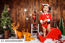 Load image into Gallery viewer, Sleigh
