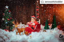 Load image into Gallery viewer, Sleigh
