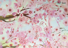 Load image into Gallery viewer, Cherry blossoms 5x8 Feet
