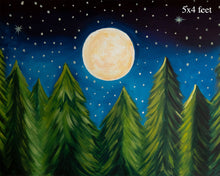 Load image into Gallery viewer, December night 5x8 Feet
