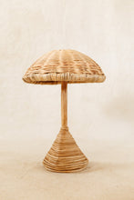 Load image into Gallery viewer, Cane Umbrella
