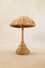 Load image into Gallery viewer, Cane Umbrella
