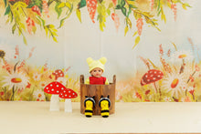 Load image into Gallery viewer, Pooh Bear Theme
