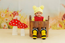 Load image into Gallery viewer, Pooh Bear Theme
