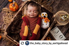Load image into Gallery viewer, Harry Potter Owl
