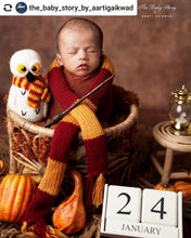 Load image into Gallery viewer, Harry Potter Owl
