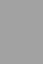 Load image into Gallery viewer, Grey 5x8 Feet
