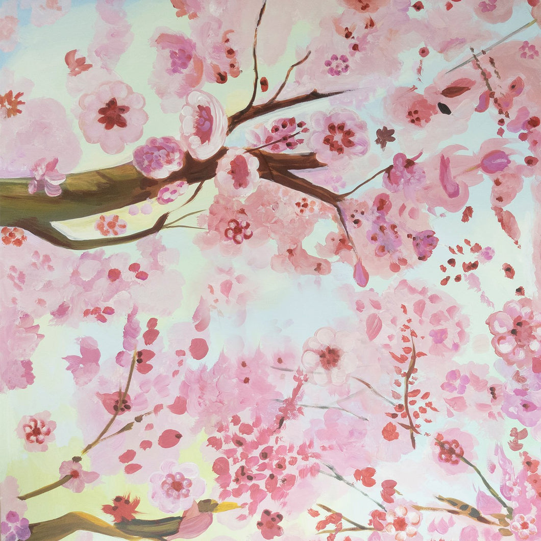 Cherry blossoms 5x6ft