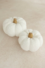 Load image into Gallery viewer, White Pumpkins - set of 2
