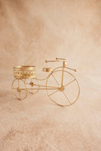 Load image into Gallery viewer, Tricycle - Gold
