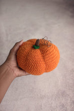 Load image into Gallery viewer, Crochet Pumpkins - set of 2
