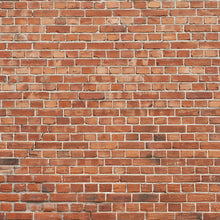 Load image into Gallery viewer, Brick Wall 5X8 ft.
