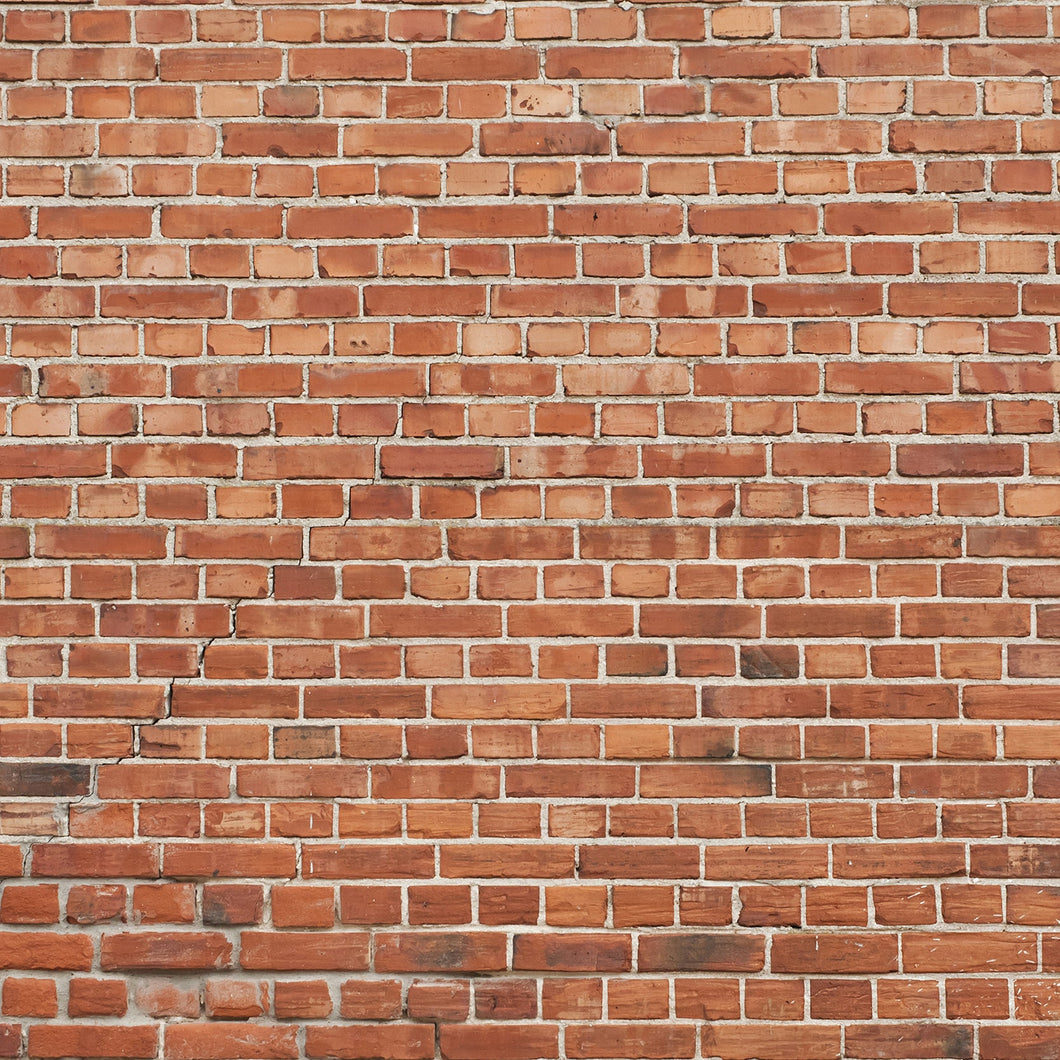 Brick Wall 5X8 ft.