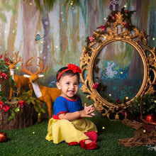 Load image into Gallery viewer, Snow White Frock 0-3m
